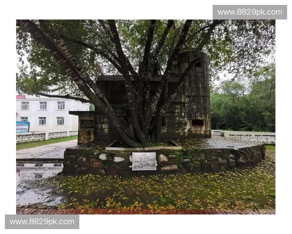 飞狐重生之路:揭秘Dota2英雄飞狐背后的设计与战斗技巧 飞狐重生之路:揭秘Dota2英雄飞狐背后的设计与战斗技巧